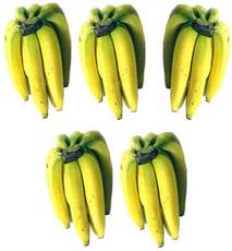 Bananen-5x6.jpg